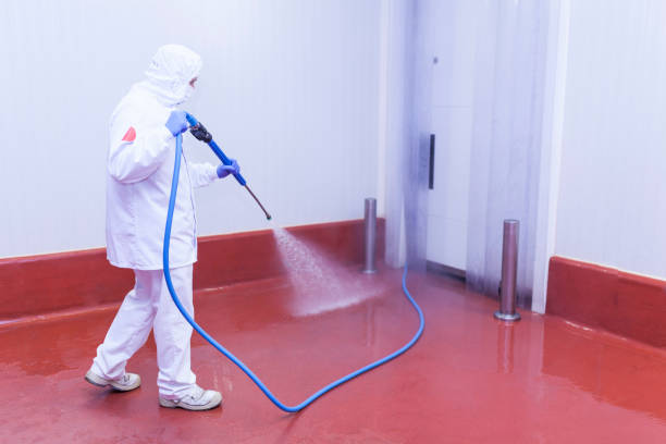 Best Dumpster Area Cleaning  in Denmark, SC