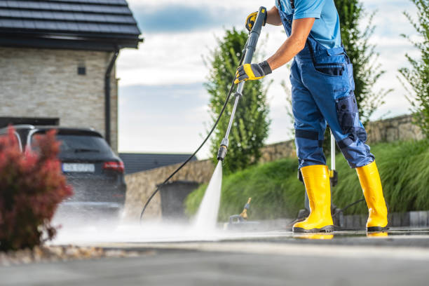Best Dumpster Area Cleaning  in Denmark, SC